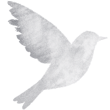 title bird