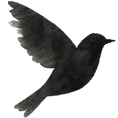 title bird